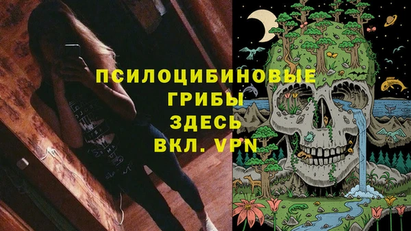 MESCALINE Вяземский